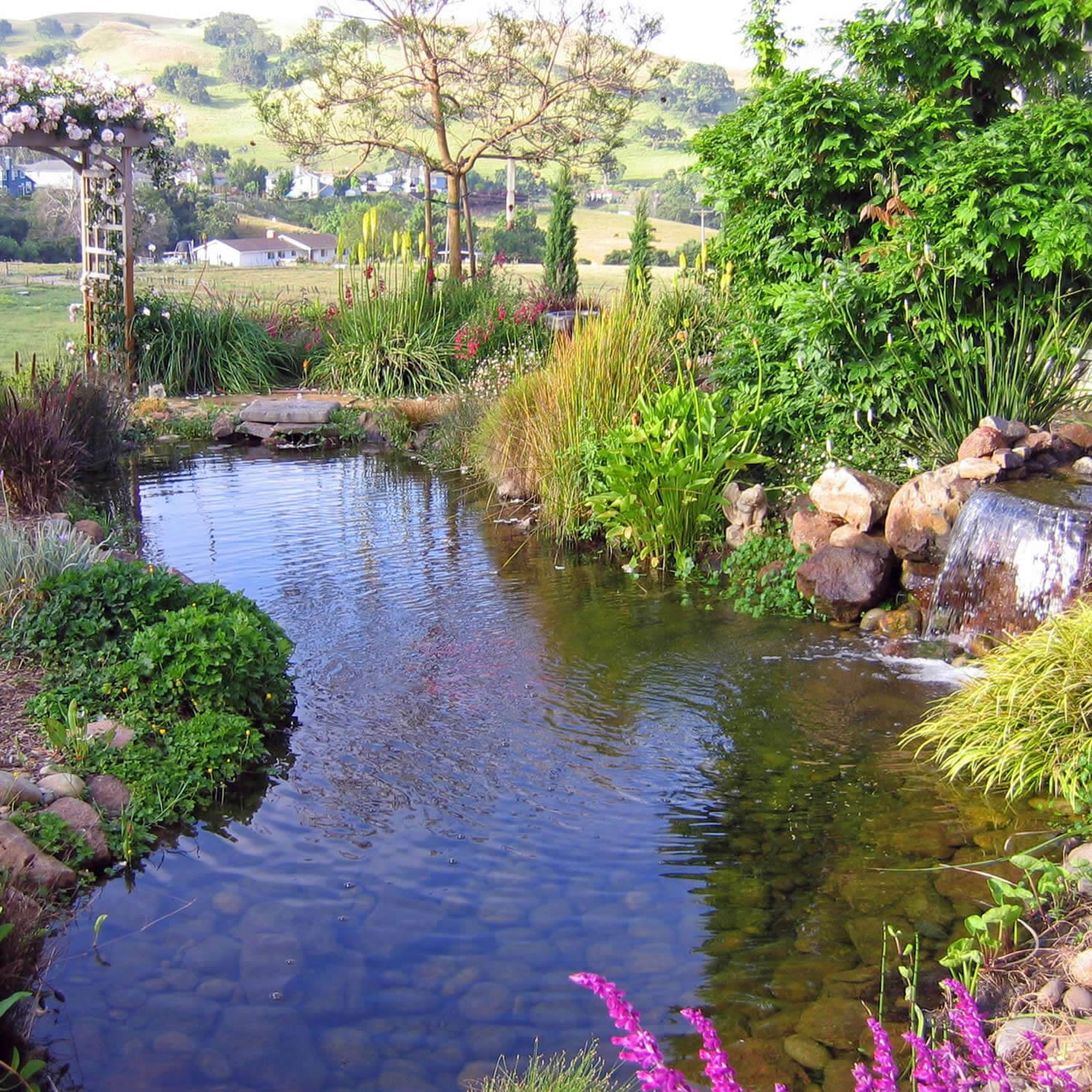garden pond with view of California pastoral hillside