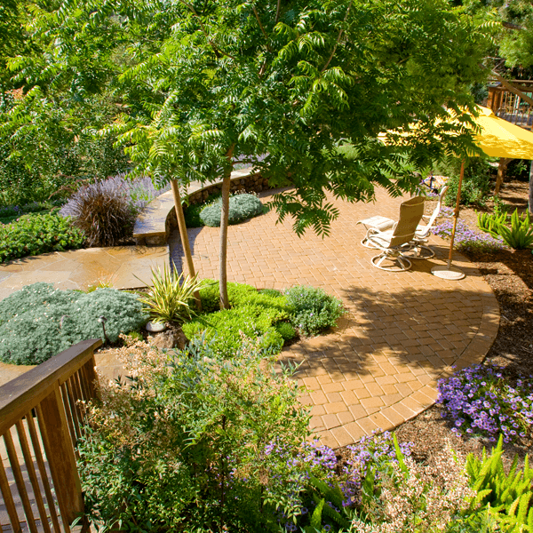 view of backyard garden and curved paver patio