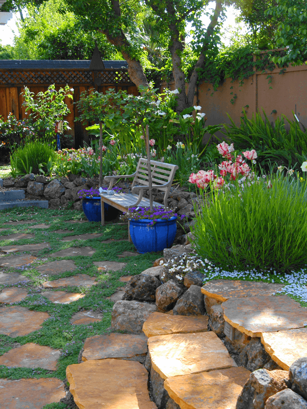 Bench in landscaped garden with natural stone pavers and lush plantings