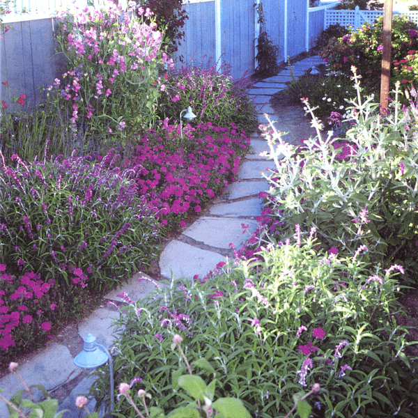 garden design and stone walkway surrounded by shades of purple flowers