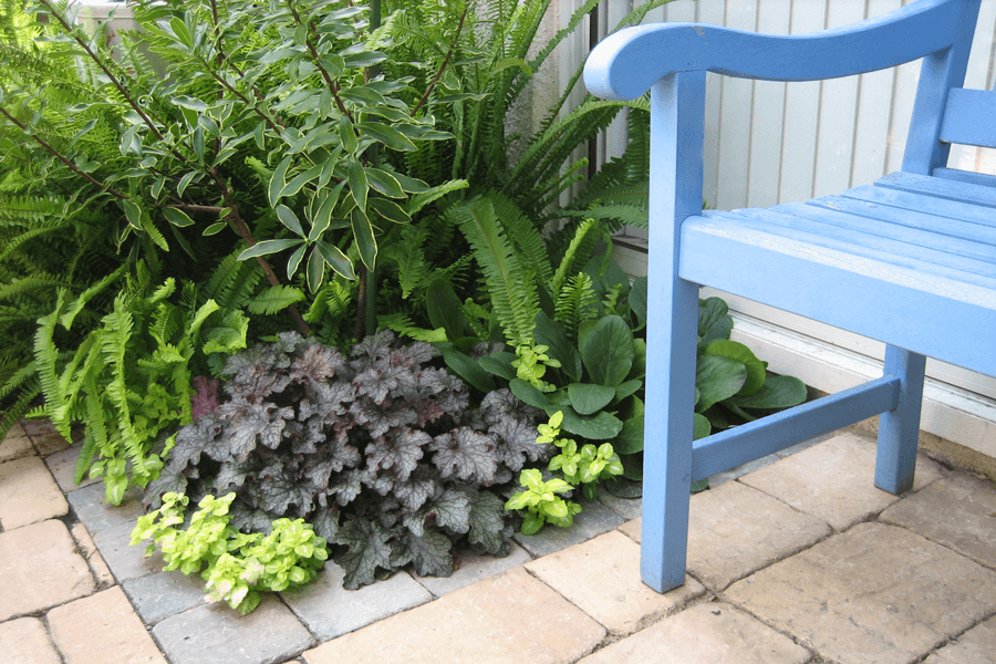 small garden and blue bench