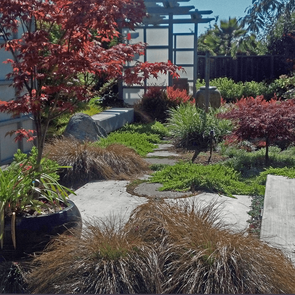landscape design architecture garden japanese garden
