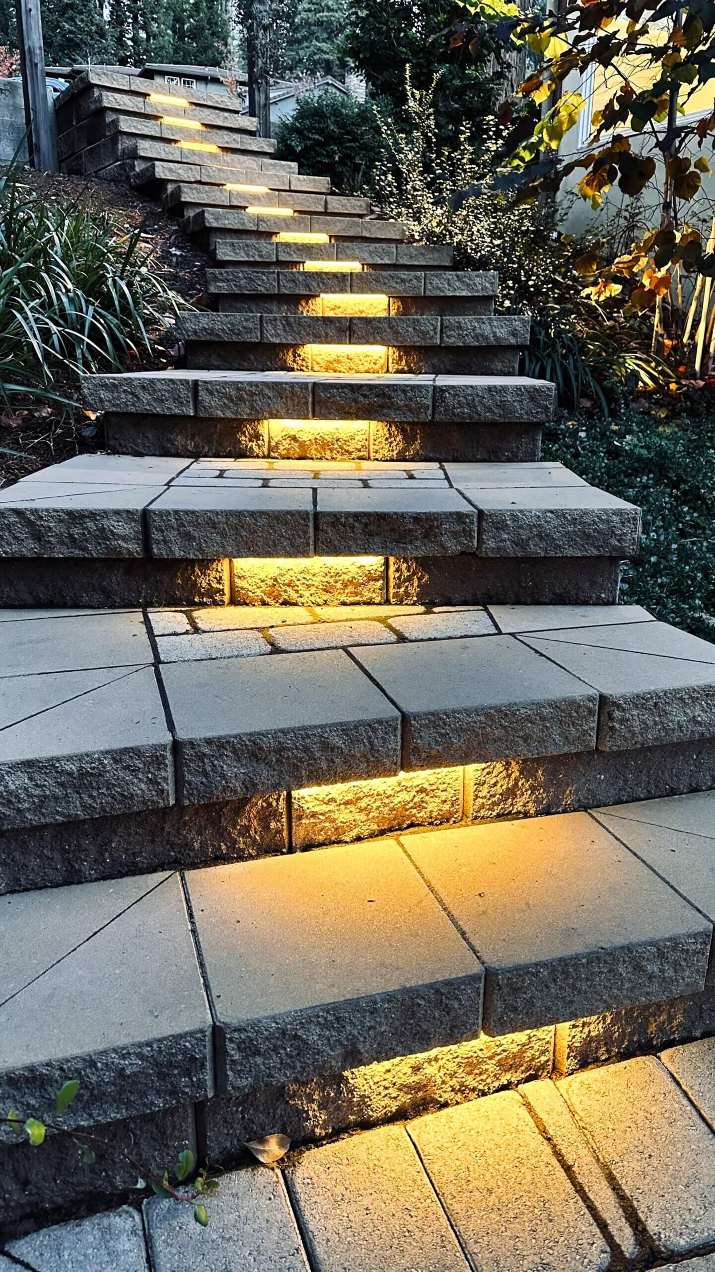 Stone steps going up steep hillside yard with underlighting