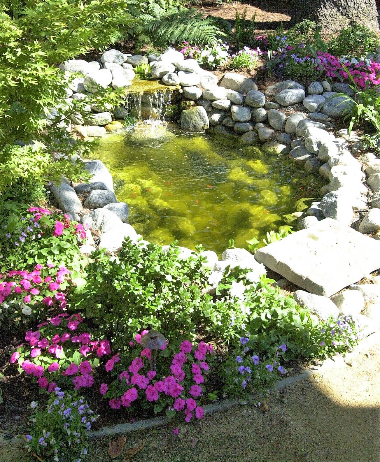 Small stone pond with waterfall and goldfish in backyard
