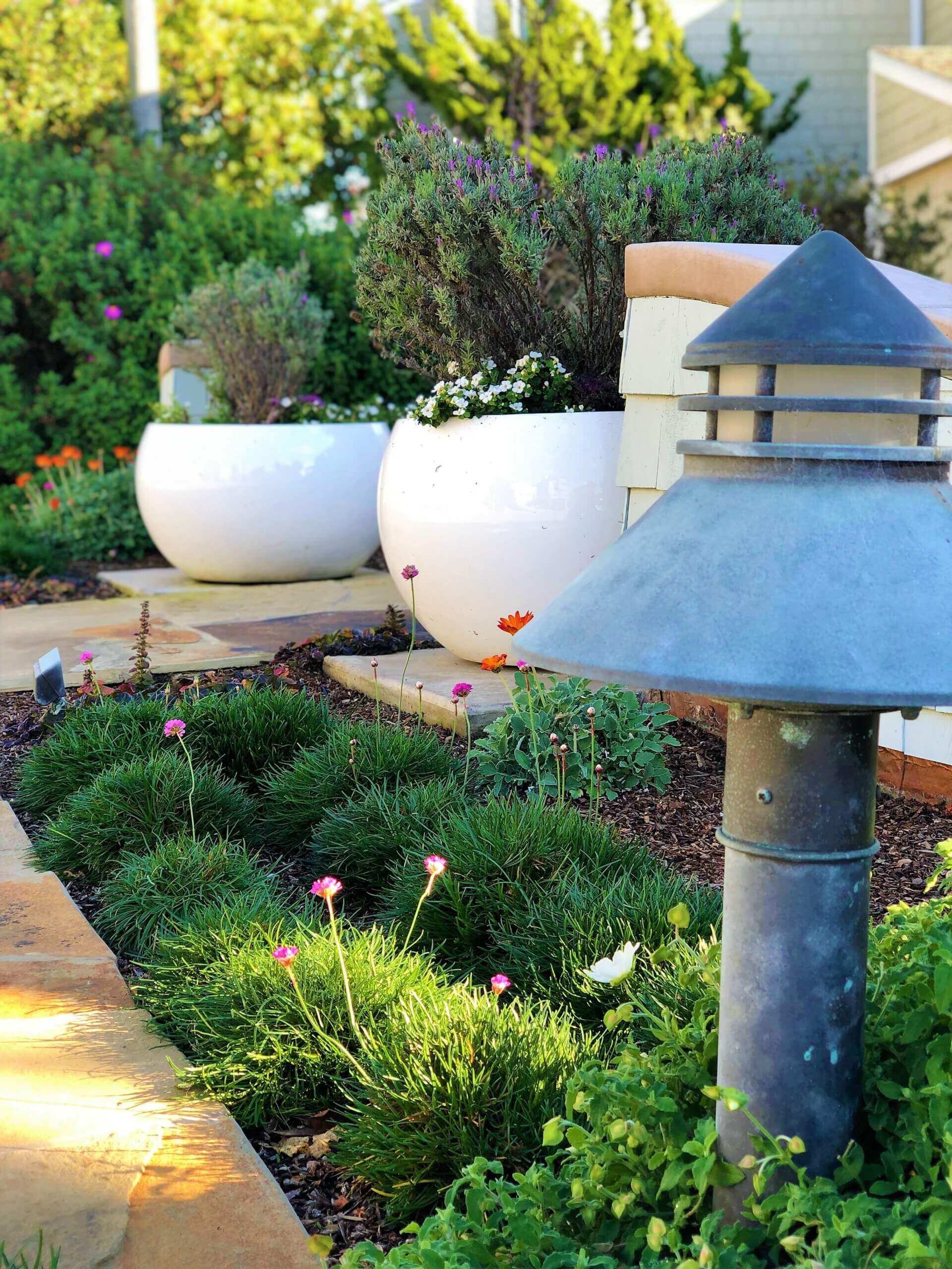 Pair of white planter pots with garden lantern and low grass plantings