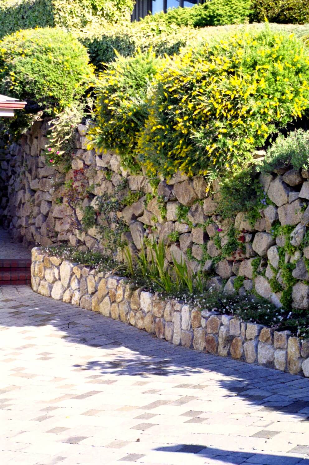 Irregular stone stacked retaining wall with ornamental plantings growing in the wall and behind it