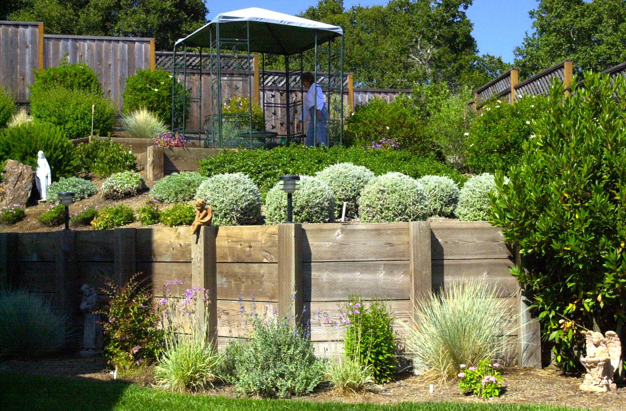 Wide wood plank retaining wall in landscaped backyard with tiered garden above