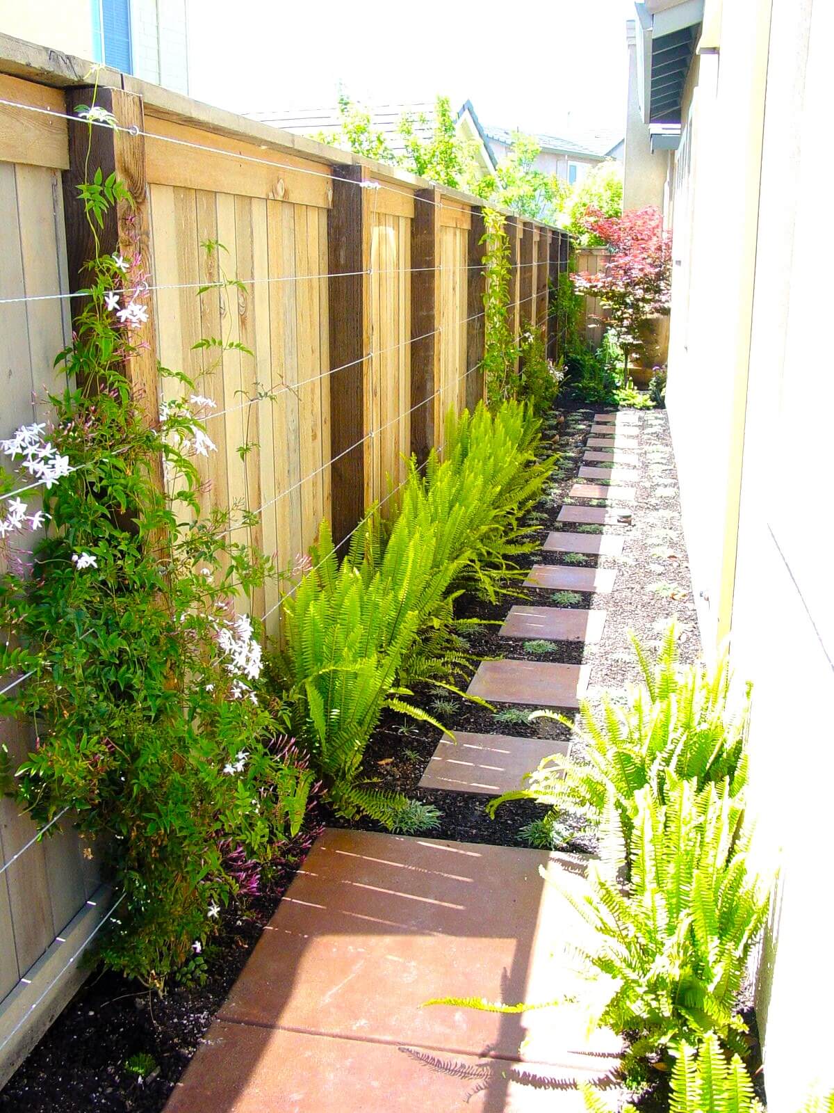 Square paver walkway amid grave and low ground cover plantings leading down narrow side yard of California home
