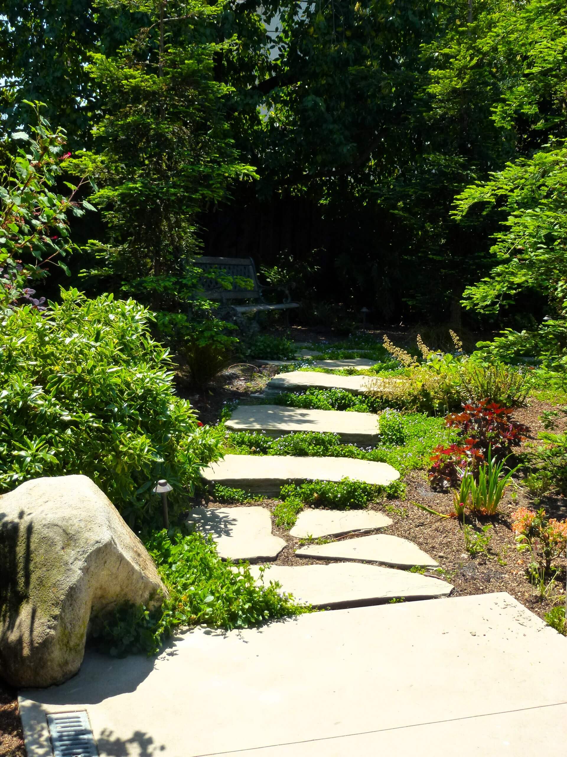 Natural Pathway made from stepping stones leading to hidden seating area in backyard forest