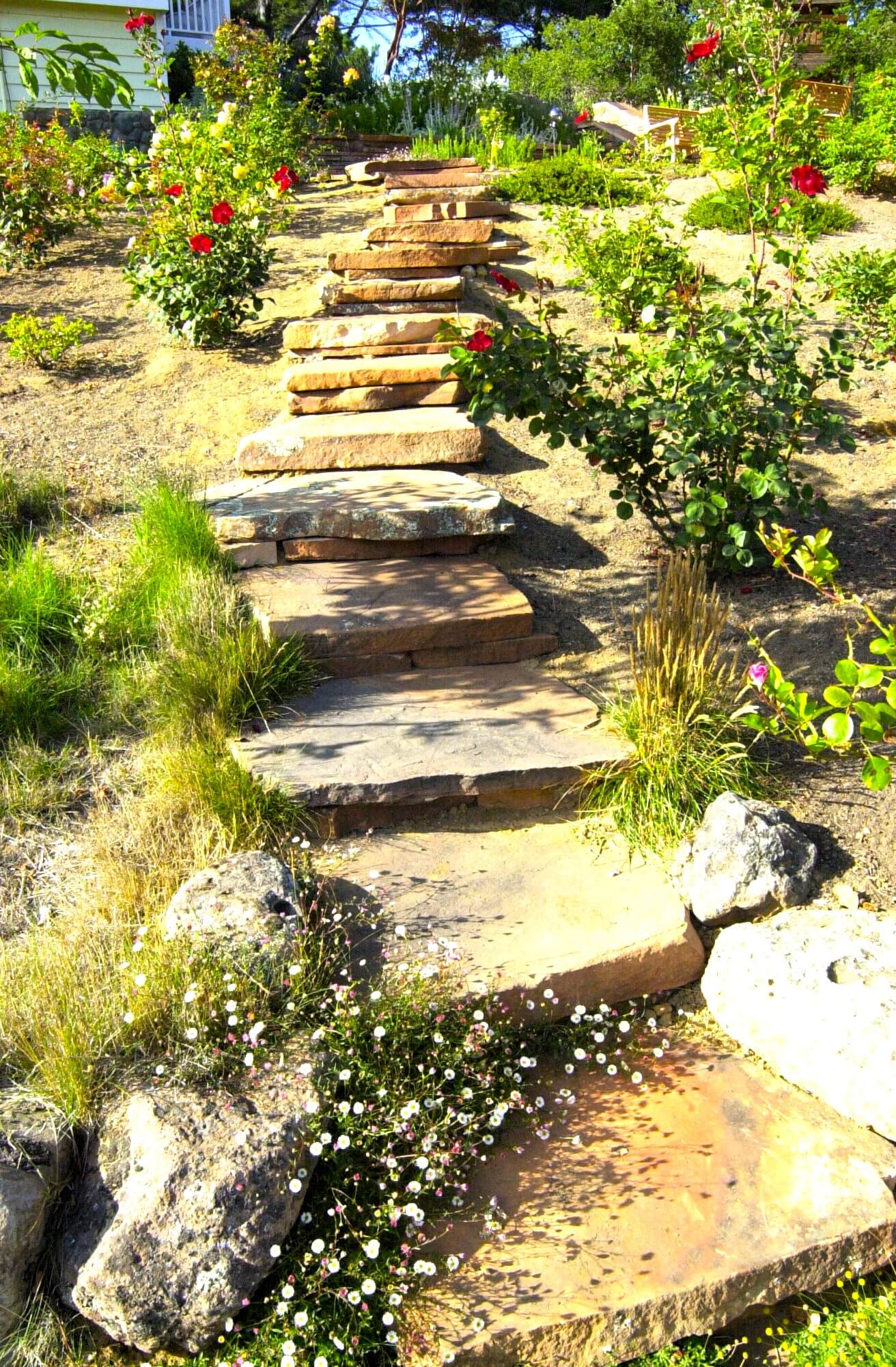Organic large stepping stone stairs leading up steep hillside in California back yard