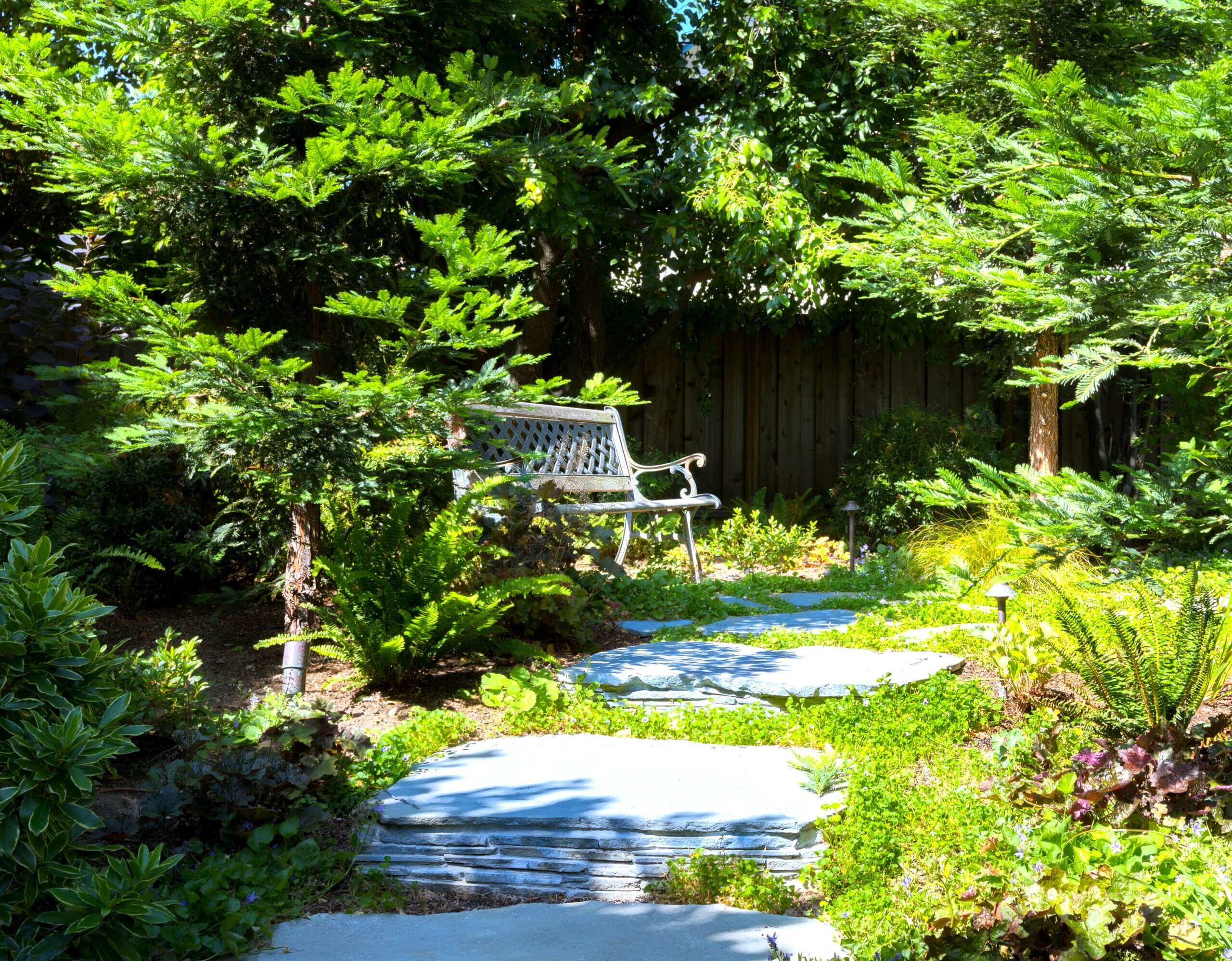 Hidden bench in wooded California backyard