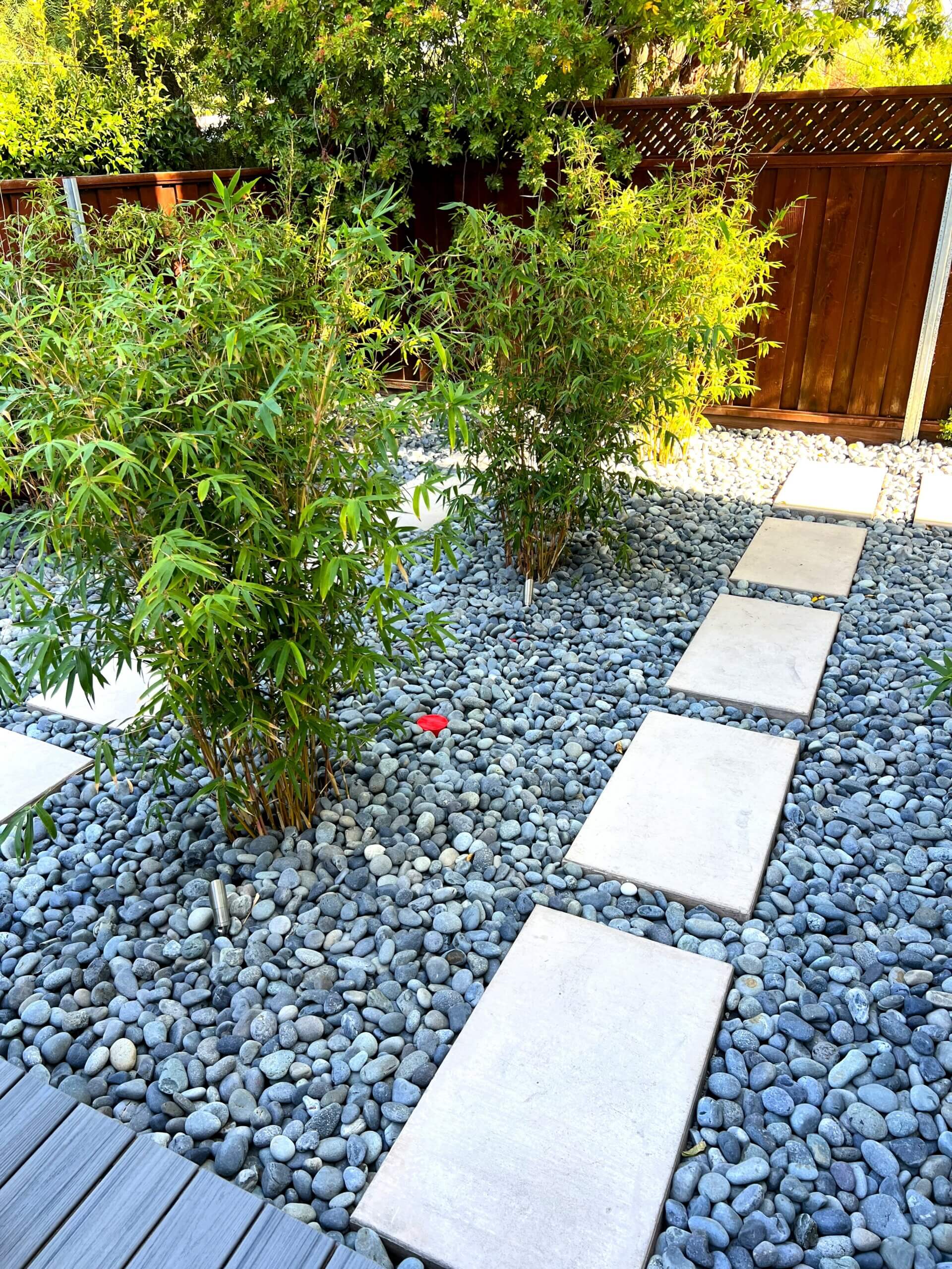New bamboo plantings and flagstone hardscaping for Eichler home landscape remodel