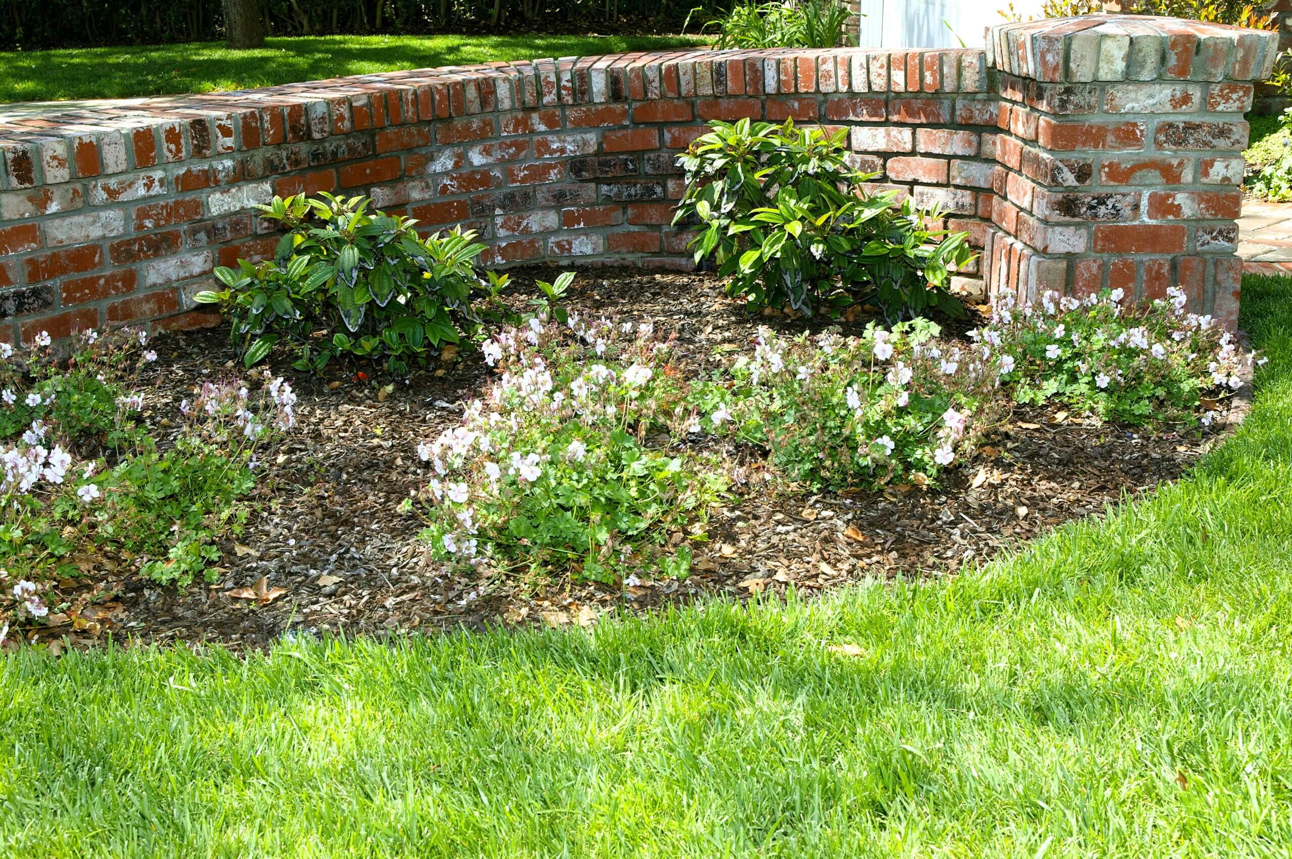 Landscaped brick half wall with curve and plantings