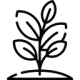 landscape plant icon